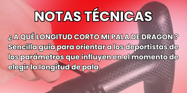 ¿Cómo elegir el largo adecuado de una pala de Dragon Boat?